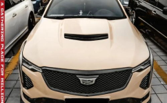 凯迪拉克小姐姐打伞,凯迪拉克小姐姐的浪漫伞下时光