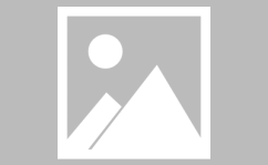 茅盾小姐姐,文学巨匠的青春风采