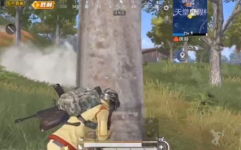 雨林吃鸡小姐姐唱歌视频,歌声穿越热带雨林